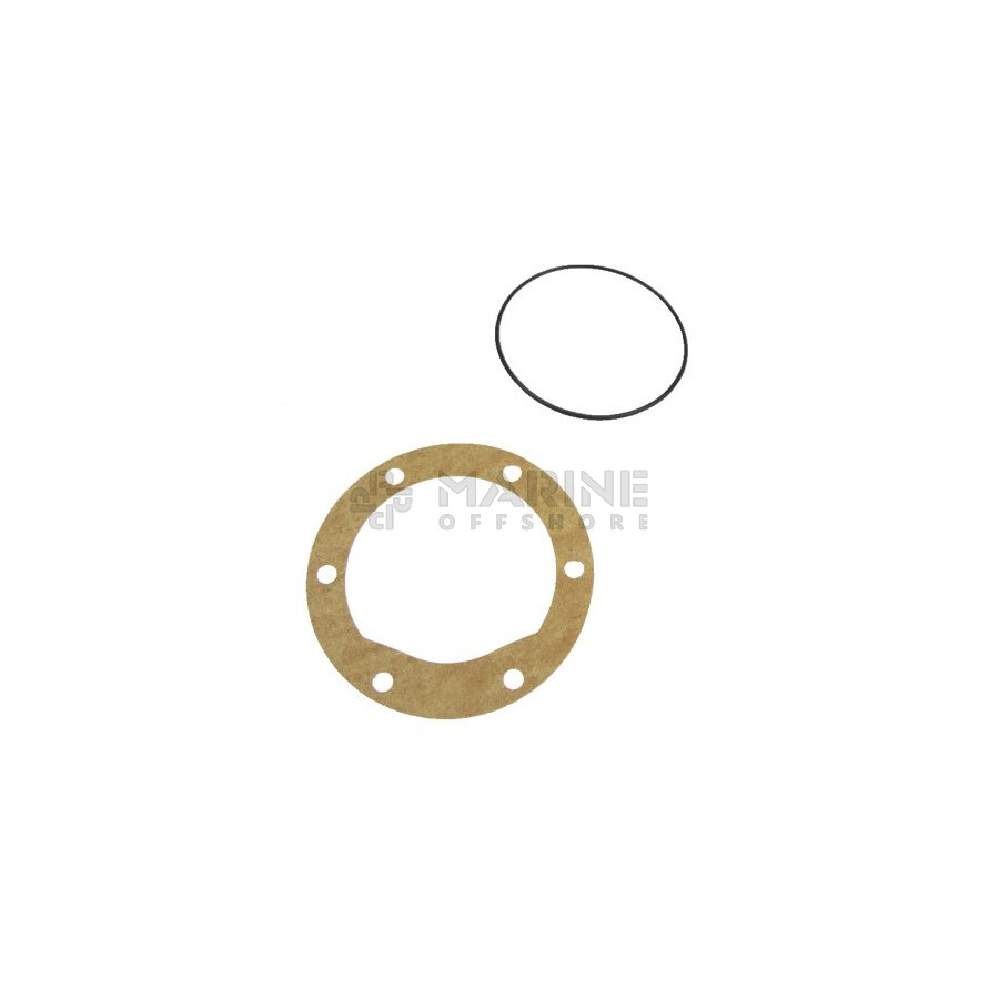 Gaskets + O-ring suitable for Jabsco 920-0001-P